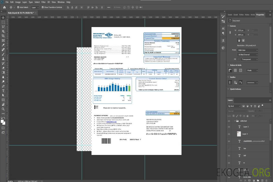 États-Unis Caroline du Nord Brunswick Electric modèle de facture de services publics aux formats Word et PDF template